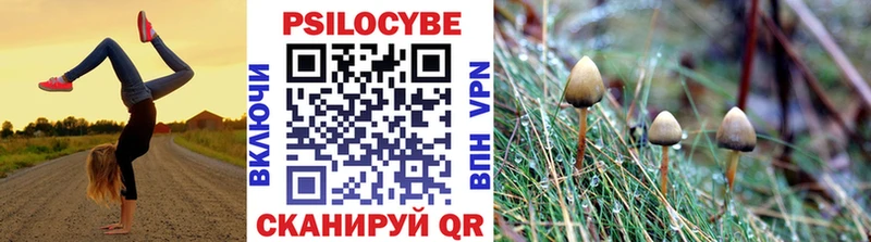 даркнет сайт  Архангельск  Псилоцибиновые грибы Psilocybe 